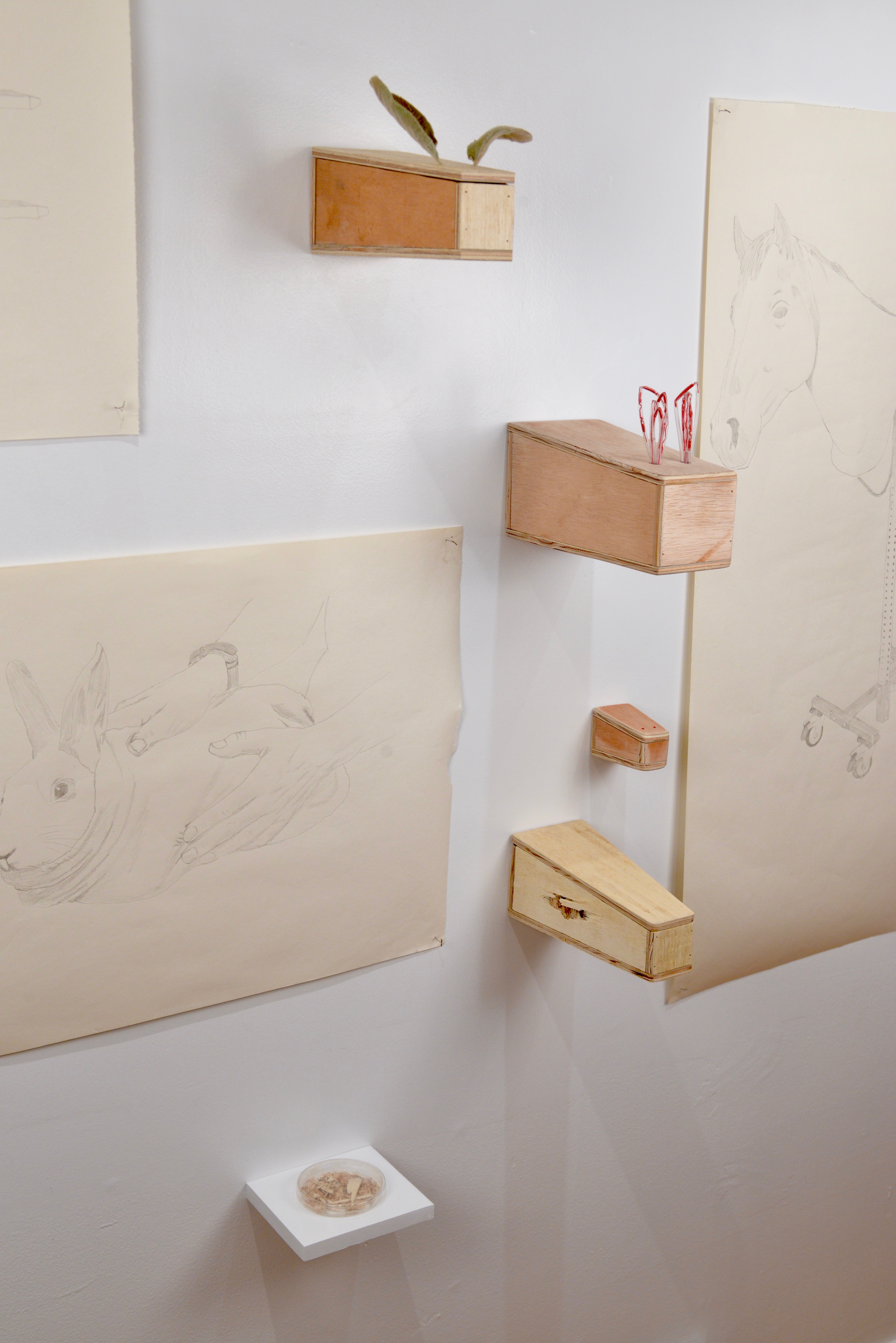 Minor Bodies installation view 